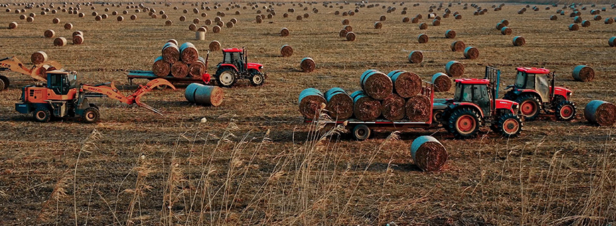 硬碳負(fù)極材料